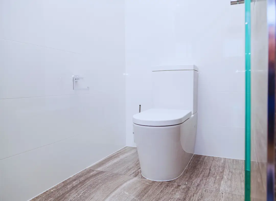 Remplacement de wc Les Monts d'Aunay